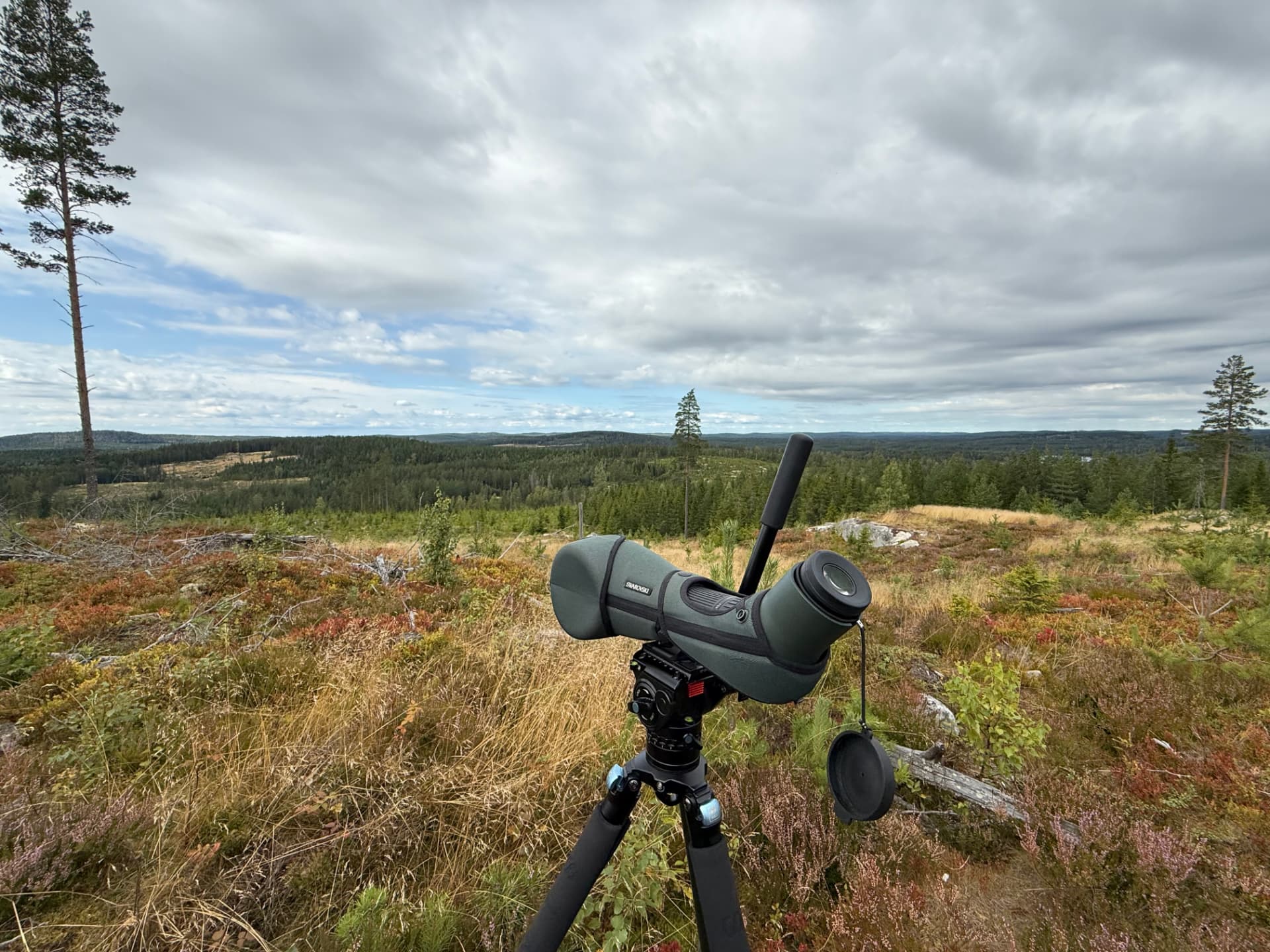 Tubkikare på stativ framför vidsträckt skogslandskap