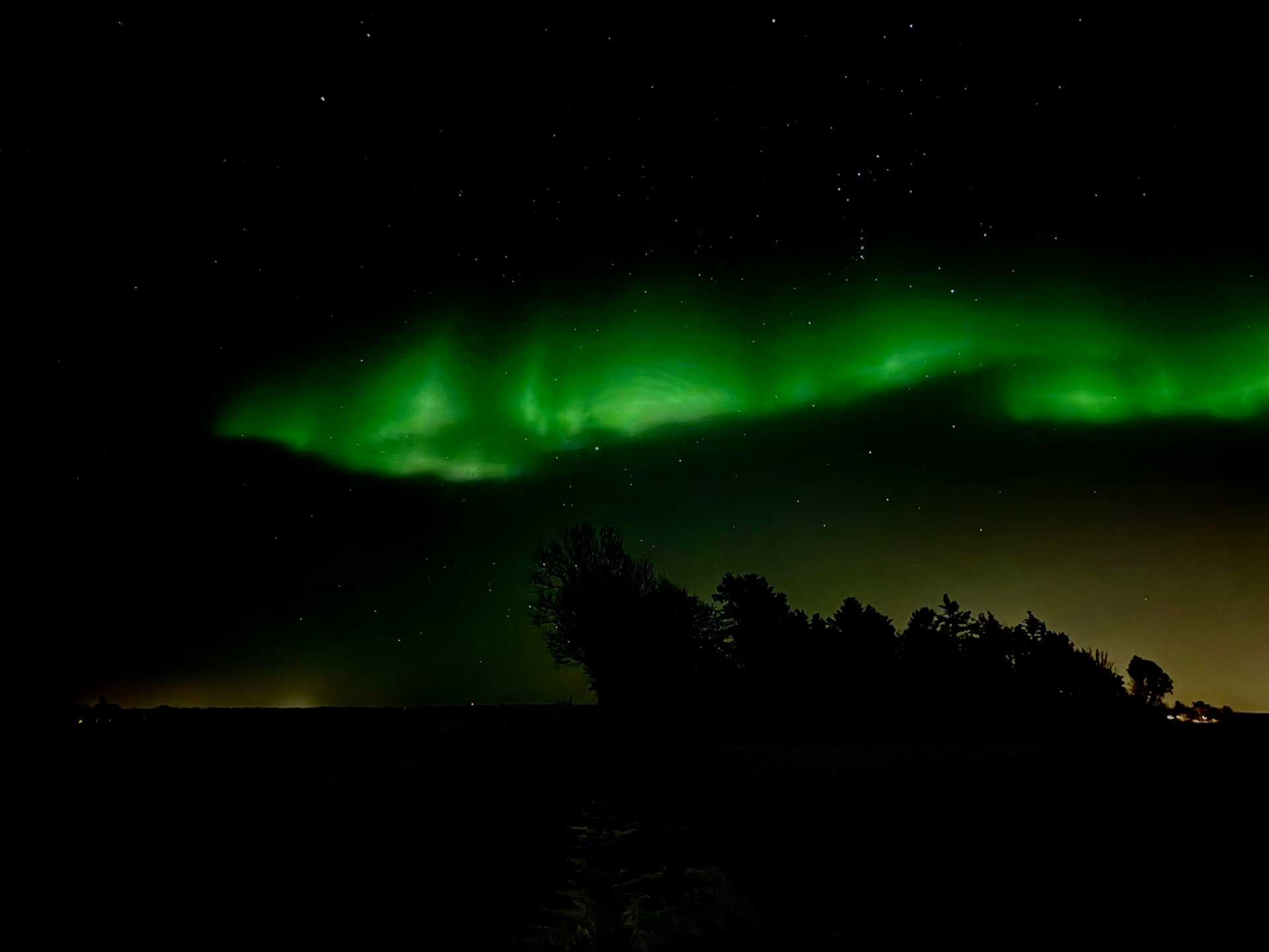 Grönt norrsken över en mörk skogssiluett och stjärnhimmel