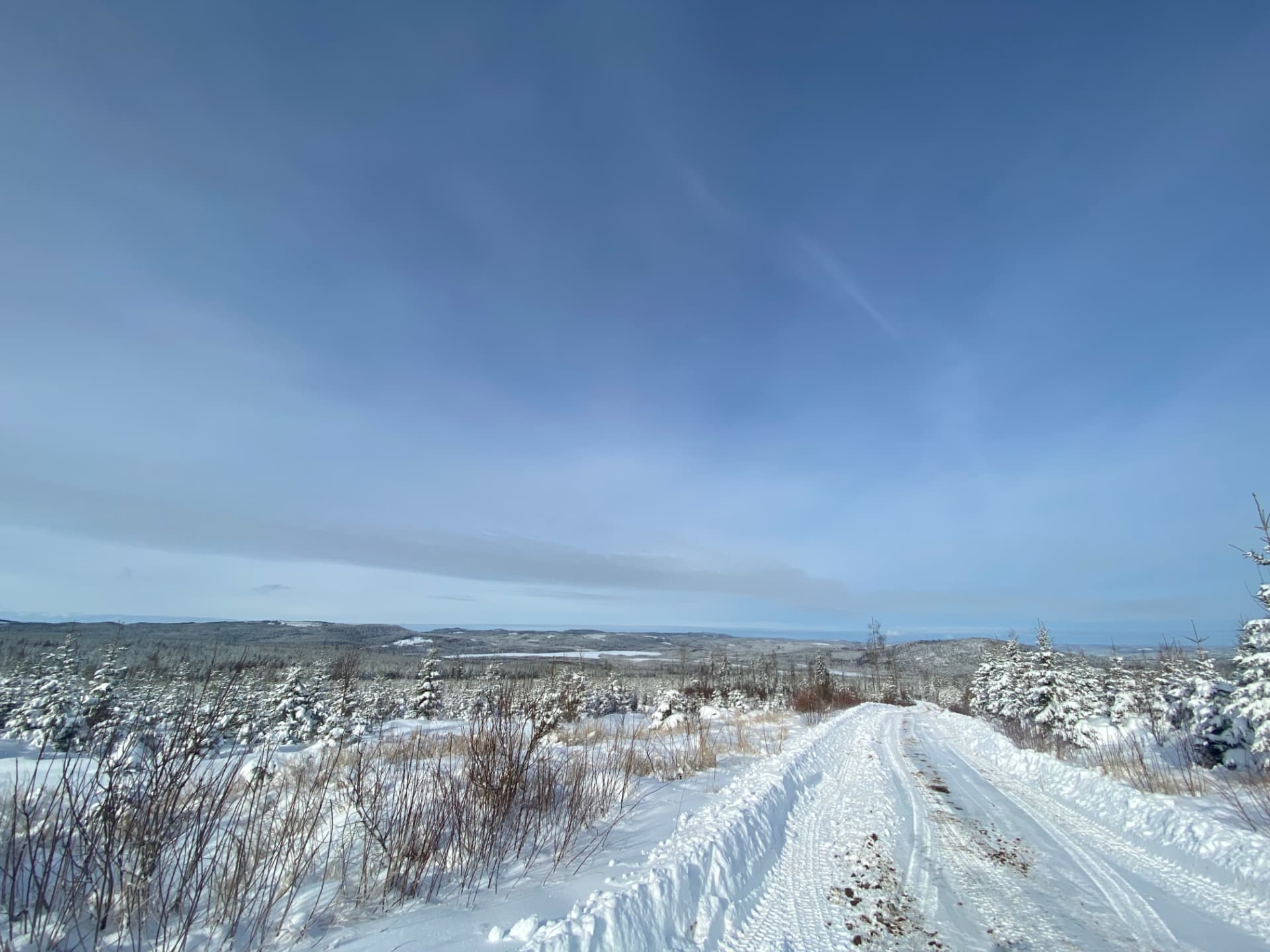 Snötäckt skogsväg genom ett böljande vinterlandskap