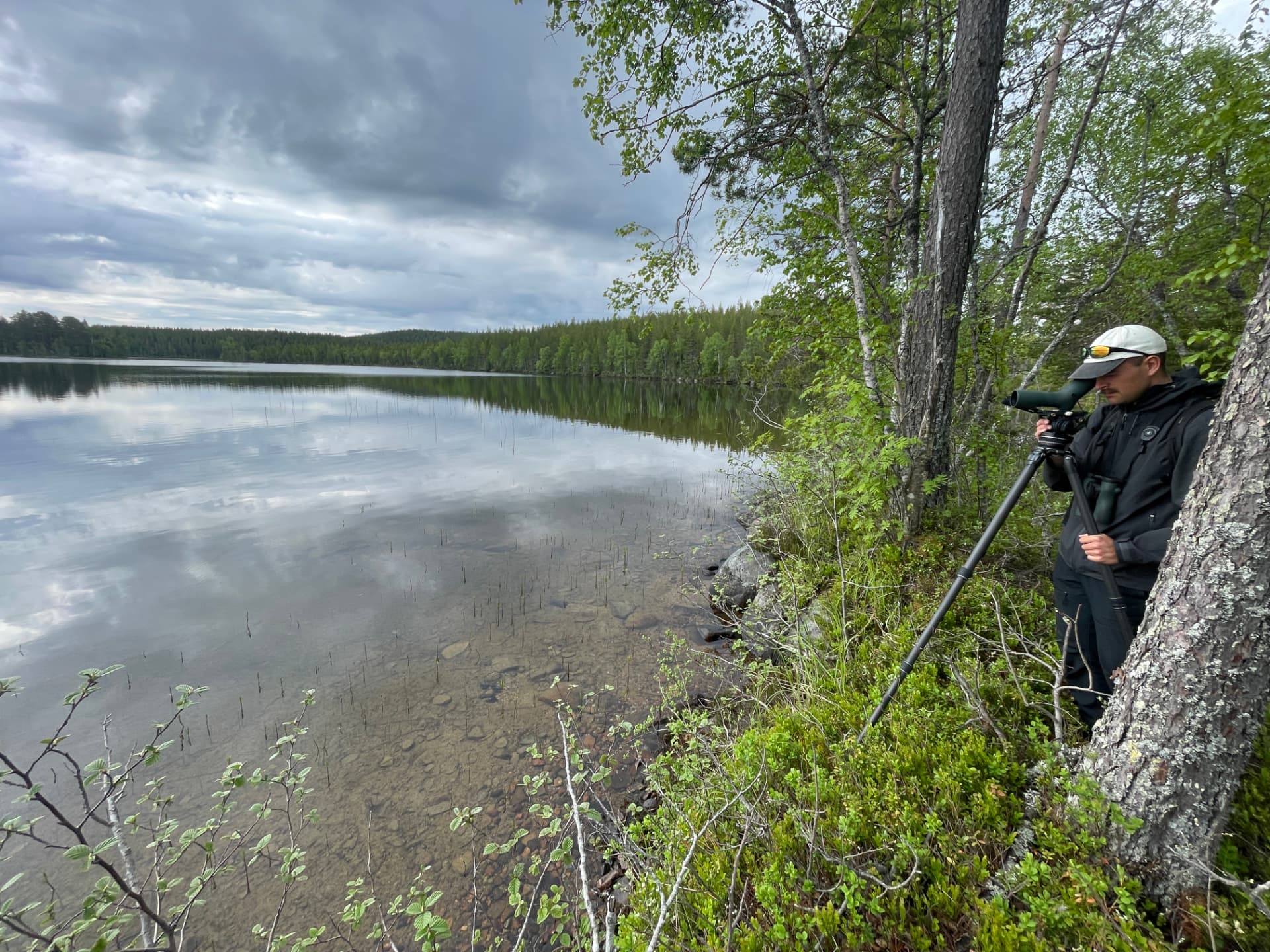 Fågelskådare med tubkikare vid en stilla skogssjö